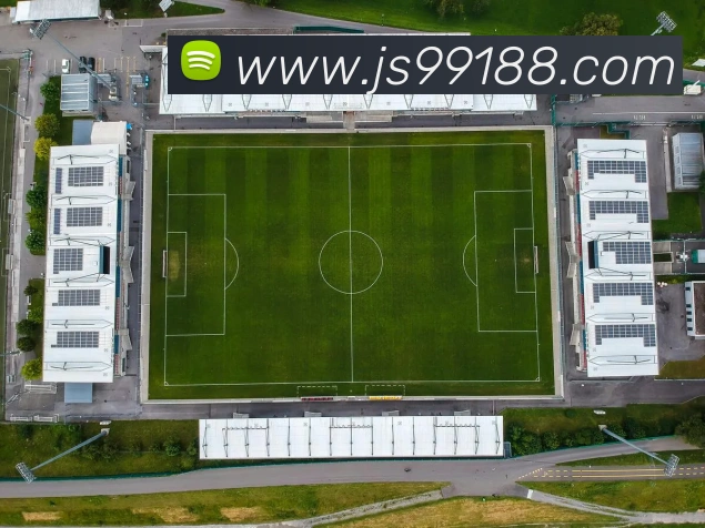 App Interface Preview